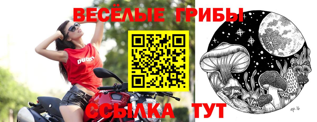 Псилоцибиновые грибы MAGIC MUSHROOMS Иваново